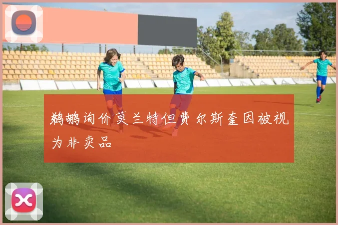 鹈鹕询价莫兰特但费尔斯奎因被视为非卖品
